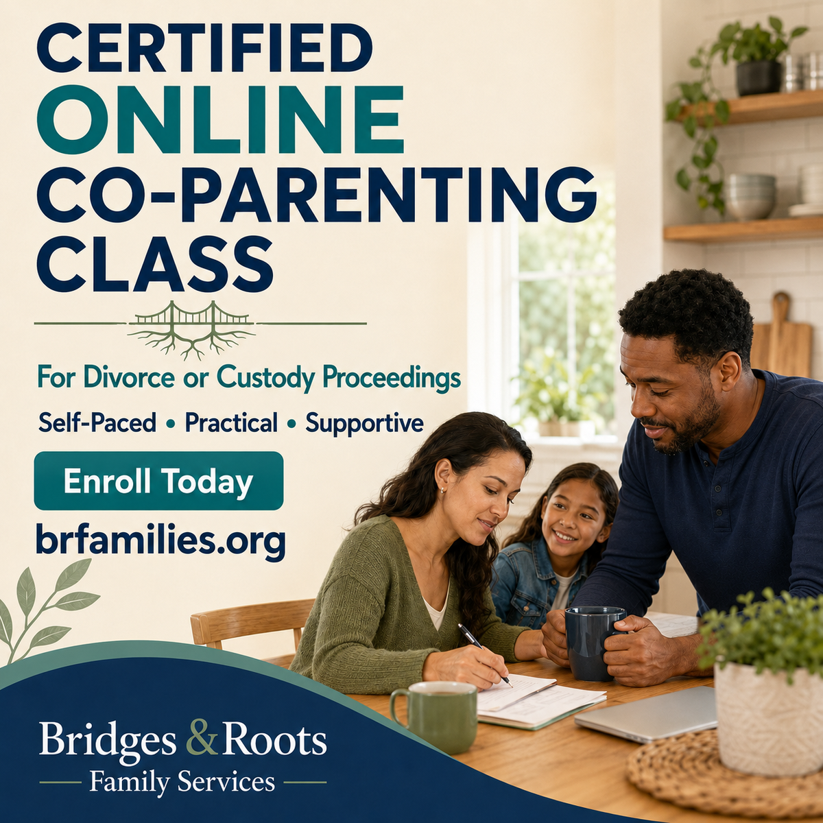 Co Parenting class for Divorce or Custody court proceedings
