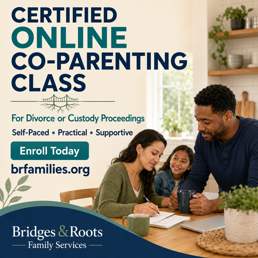 Co Parenting class for Divorce or Custody court proceedings
