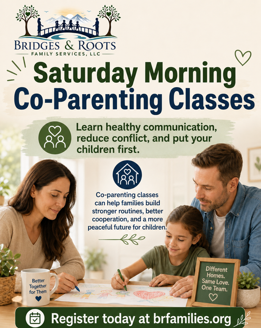 Co Parenting class for Divorce or Custody court proceedings